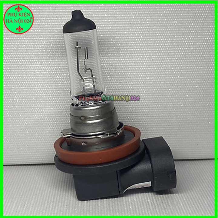 Bóng đèn Halogen Con Cú H8 12V 35W