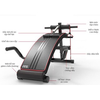 GHẾ CONG TẬP CƠ BỤNG DDS-104