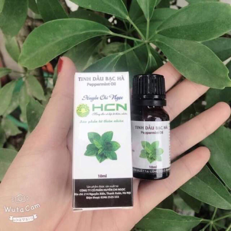 Máy xông tinh dầu phun sương