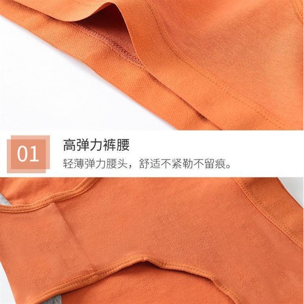 2108QC - QUẦN LÓT NỮ CHẤT COTTON