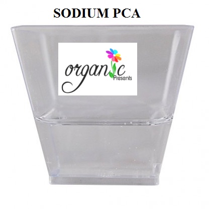 SODIUM PCA