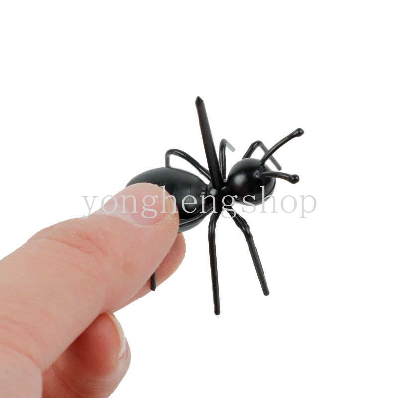 Set 12 Nĩa Ăn Trái Cây Hình Con Kiến Dễ Thương