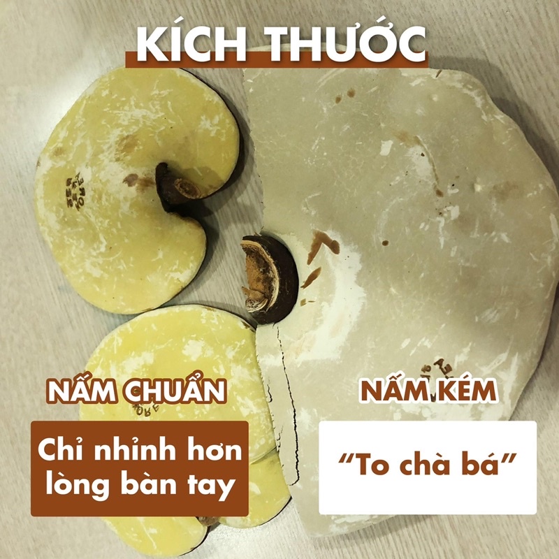 [Nhập khẩu Hàn Quốc] Nấm Linh Chi cao cấp Hàn Quốc Imsil Nonghuyp M 1kg | BigBuy360 - bigbuy360.vn