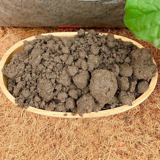 [ưu đãi]  Đất thịt trồng cây 10kg, đất thịt mua 10kg tặng 1 gói hạt ngẫu nhiên