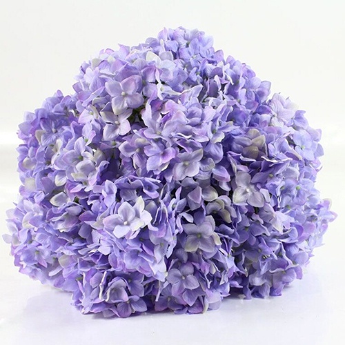 Hoa Cẩm Tú Cầu Nhân Tạo Dùng Trang Trí Nội Thất