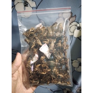 DẾ SẤY KHÔ 50 GRAM CHO THÚ CƯNG MÈO HAMSTER NHÍM KIỂNG CHIM...