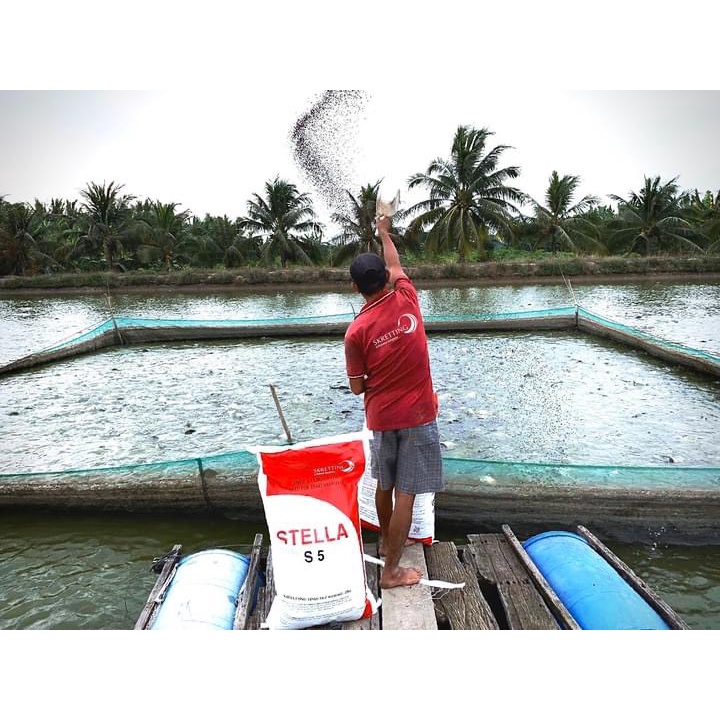 Thức ăn cá koi, Cám Stella đạm 40,42