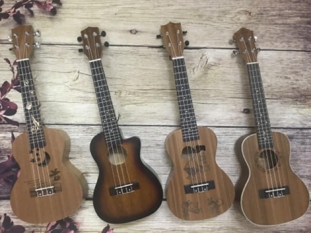 (ĐÀN SỊN) ĐÀN UKULELE CONCERT TỔNG HỢP CÁC MẪU ĐẸP