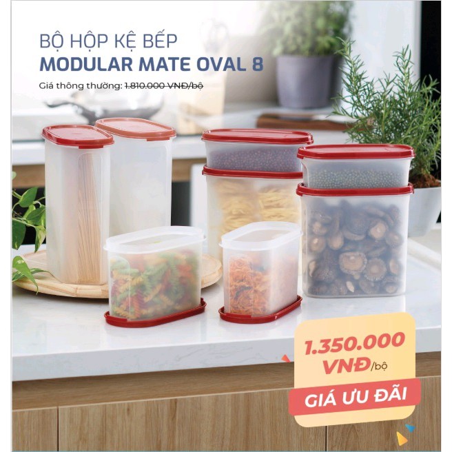 Bộ 8 hộp kệ bếp MM Oval