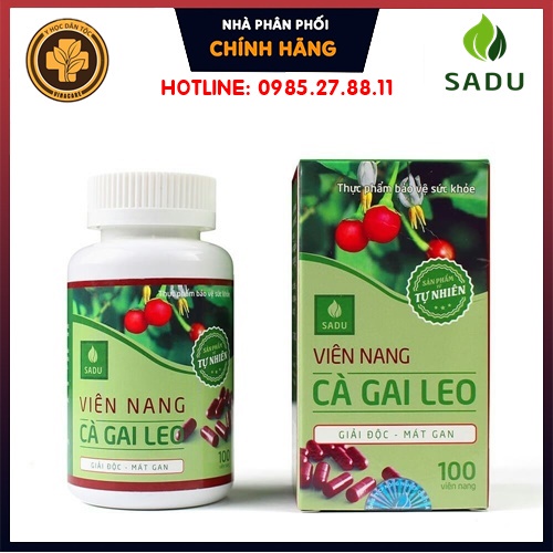 cà gai leo viên nang sadu 100 viên nang ⚜️FREESHIP⚜️ hỗ trợ và điều trị các bệnh về gan