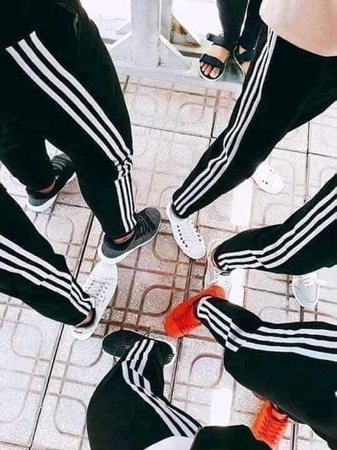 Quần 3 sọc