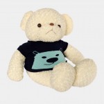 [CHUYÊN SỈ GIÁ SỐC]  Gấu Teddy Xoăn Kem Len Xanh Xám Cực Xinh [ DIABRAND ]