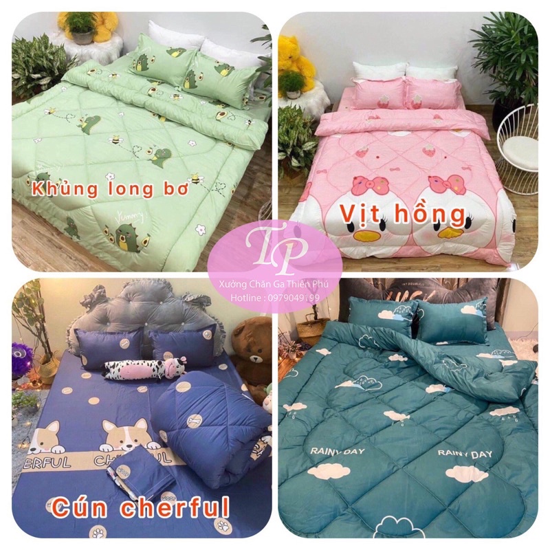 Chăn Phao Trần Bông Cotton Poly Dầy Dặn Nặng 2kg