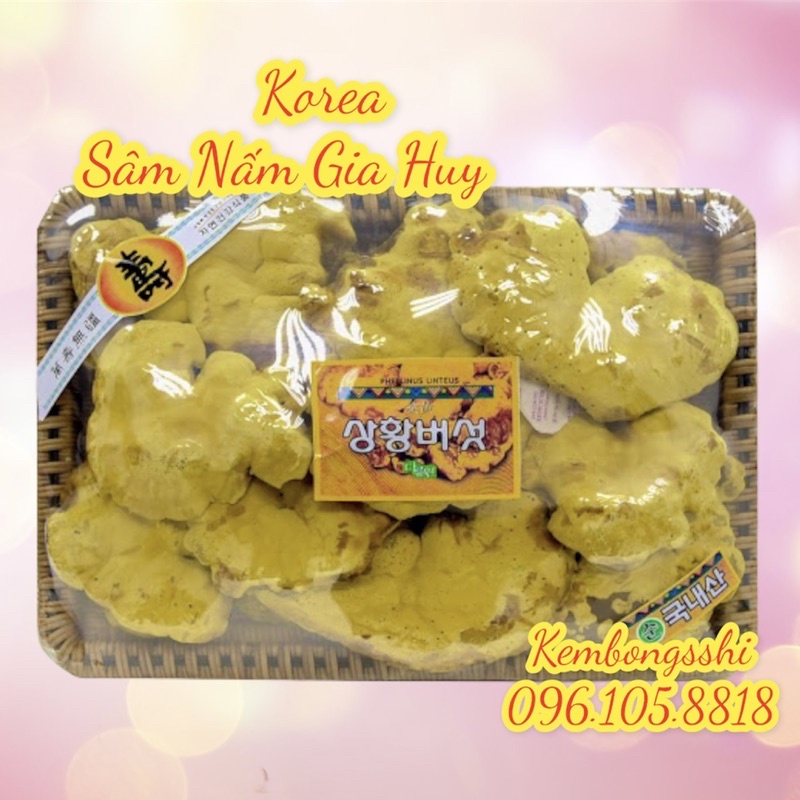 [HÀNG MỚI] Nấm Thượng Hoàng Cao Cấp Hàn Quốc, Khay 500gr