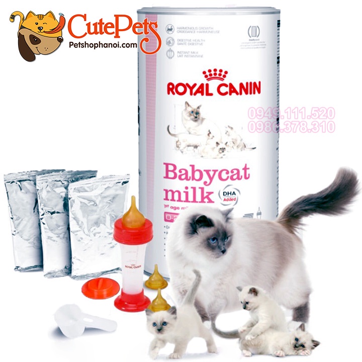 Royal Canin baby cat milk Sữa bột cao cấp dinh dưỡng cho mèo con - CutePets