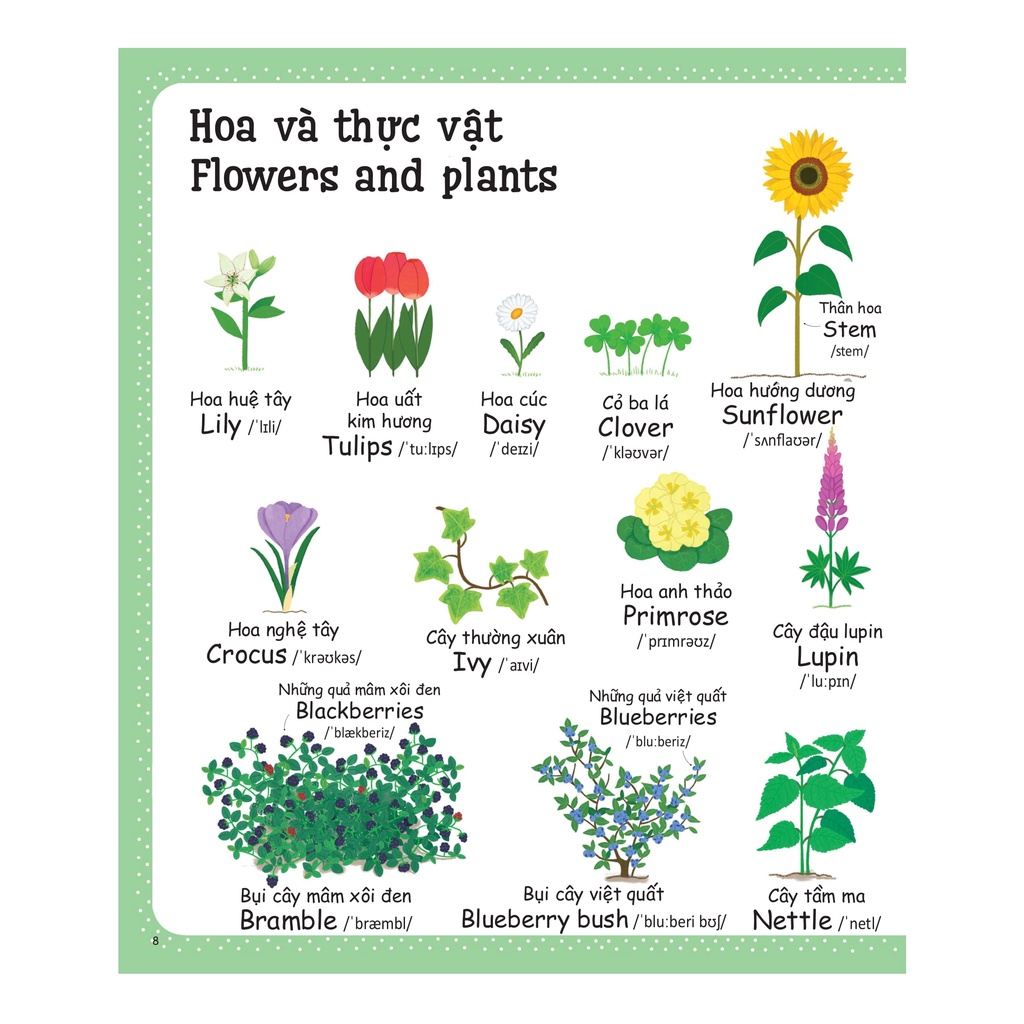 Sách Cuốn Sách Từ Vựng Đầu Tiên Của Tôi - My First Word Book- Thiên Nhiên - Nature