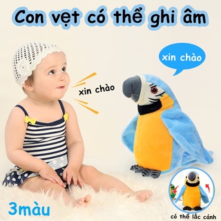 Con vẹt Nhảy Múa, Con vẹt Nhại Tiếng,Một con vẹt có thể ghi âm và nhảy múa