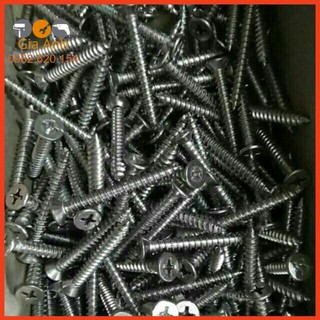 1 Kg Vít Chìm Inox Đủ Cỡ