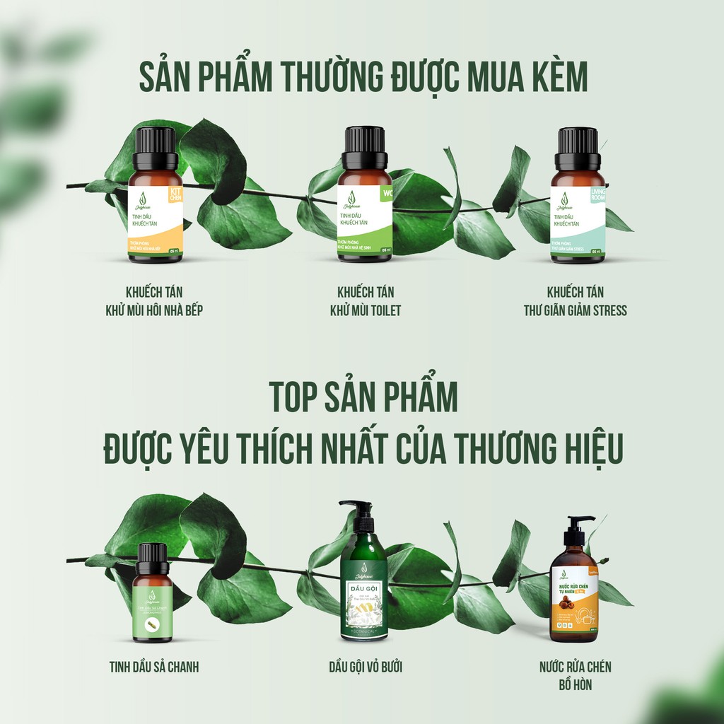 [MỚI] Bộ Khuếch tán hương thơm dành cho phòng Ngủ thư giãn khử mùi giúp ngủ ngon từ tinh dầu thiên nhiên 5ml JULYHOUSE