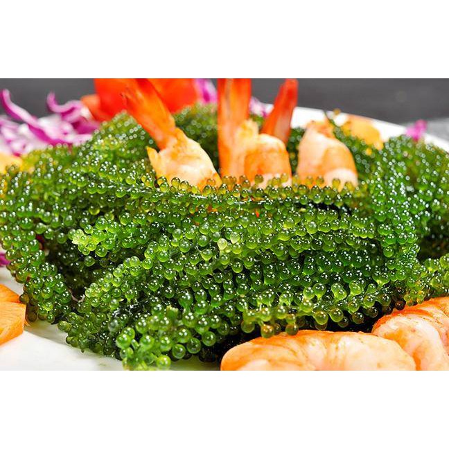 Bán sỉ 5 Hộp Rong nho Tách nước Green Food 100% Natural - Hộp 200gr  Hàng Công Ty Check Thông Tin Qua Mã Vạch