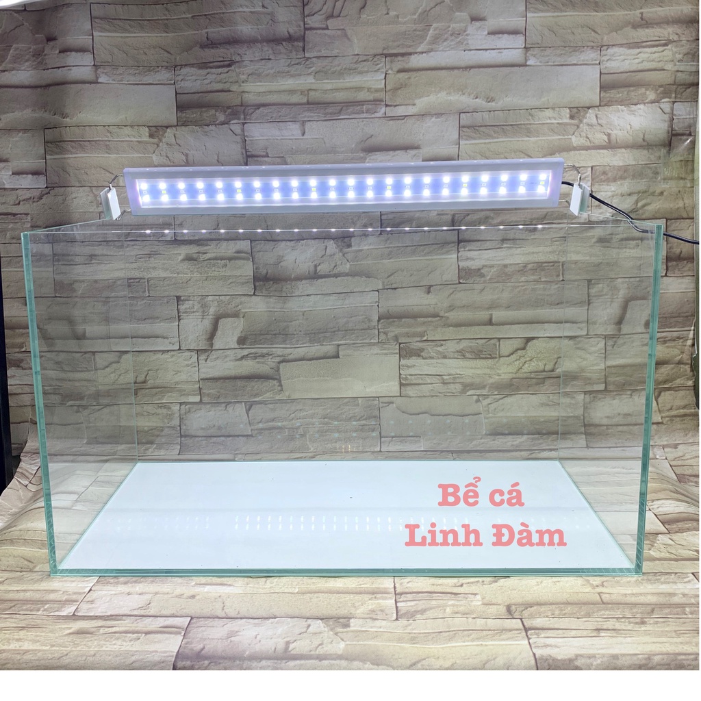 Bể cá kính siêu trong dài 60cm mài full vi tính, dán giấu keo đẹp - Bể cá cảnh thủy sinh để bàn