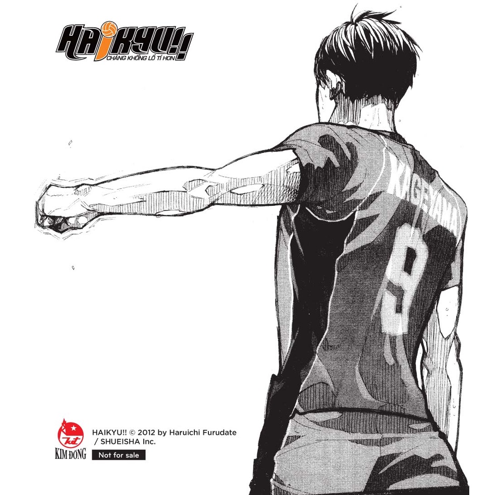 Truyện _ Haikyu - Chàng khổng lồ tí hon
