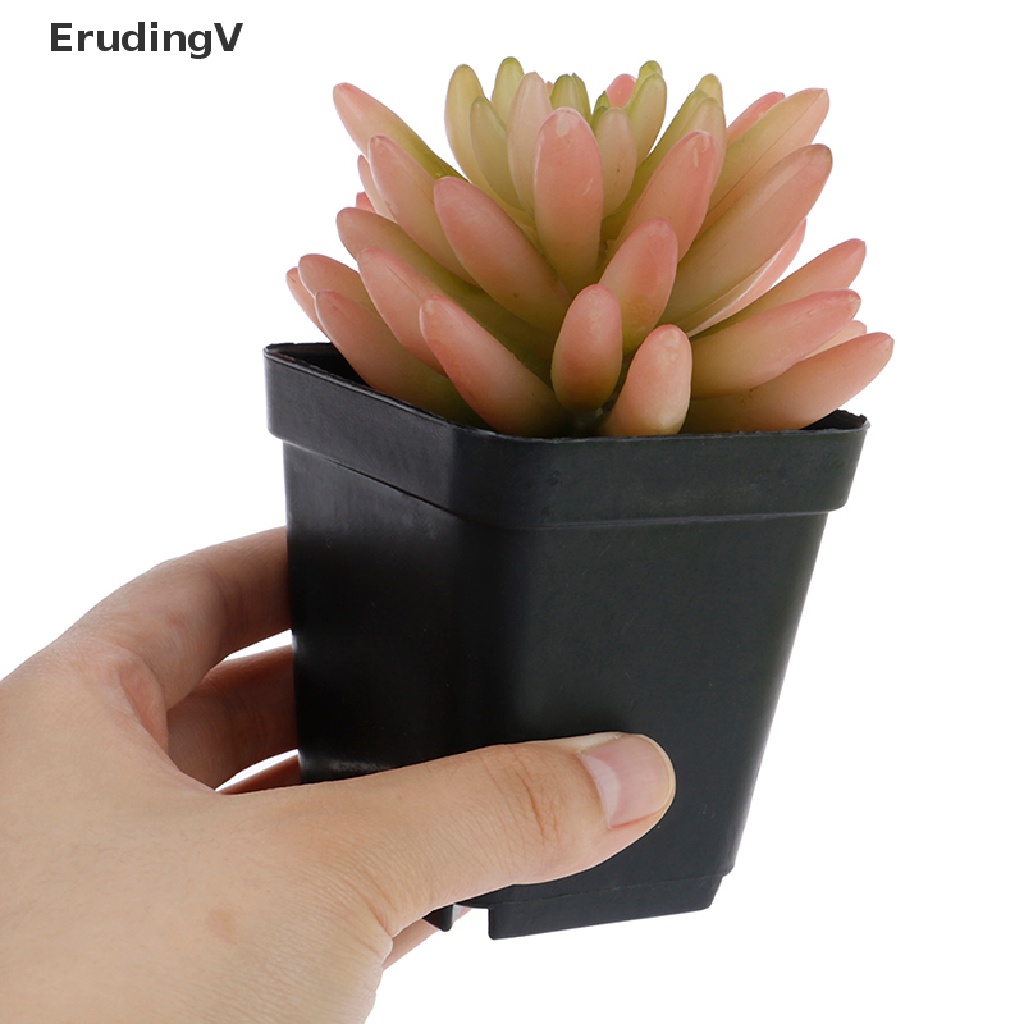 Bộ 5 Chậu Hoa Mini Hình Vuông Bằng Nhựa Dùng Trang Trí Bàn Làm Việc