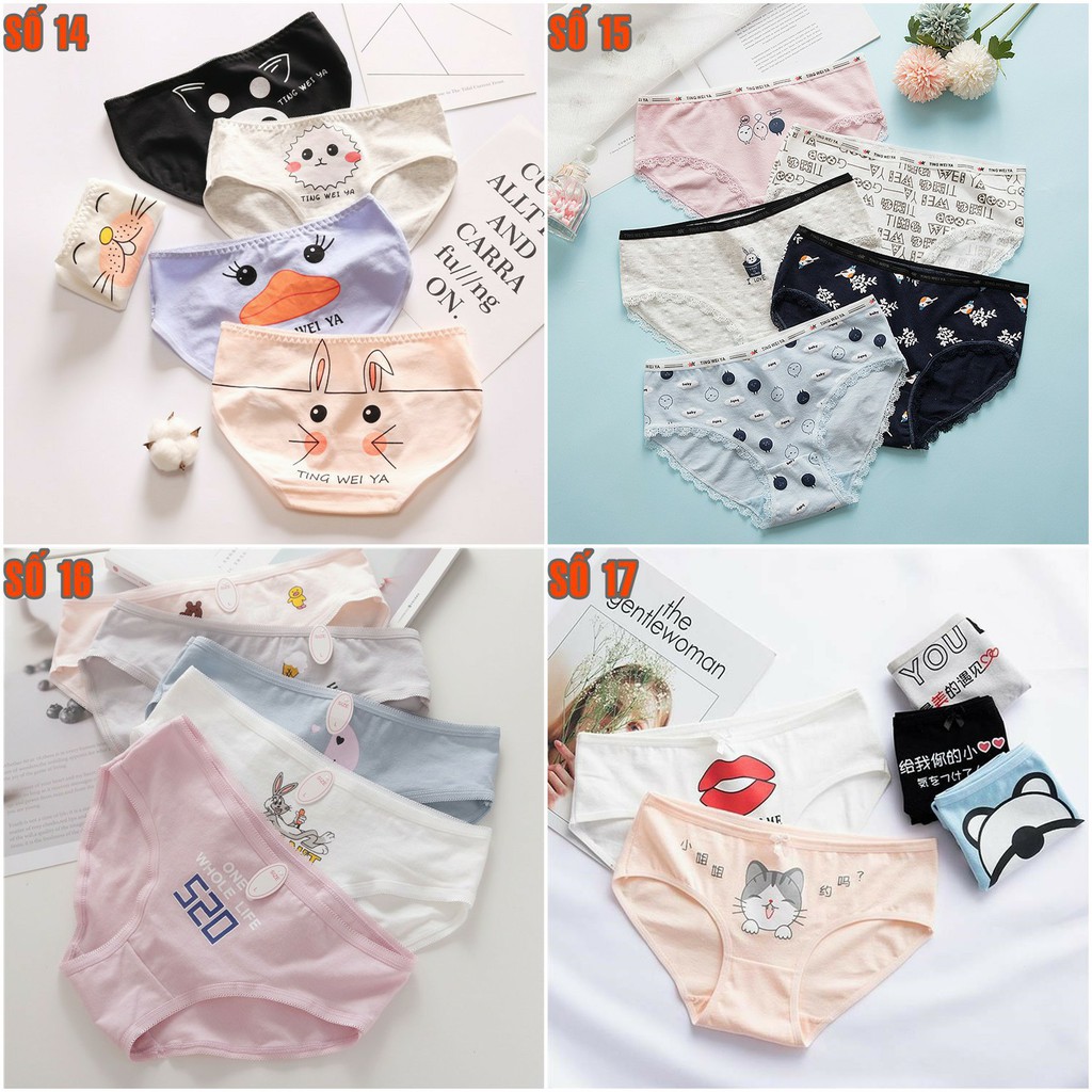 [Mã FAMAYWA2 giảm 10K đơn 50K] Set 5 quần lót dễ thương Cotton nhiều họa tiết C02 | BigBuy360 - bigbuy360.vn