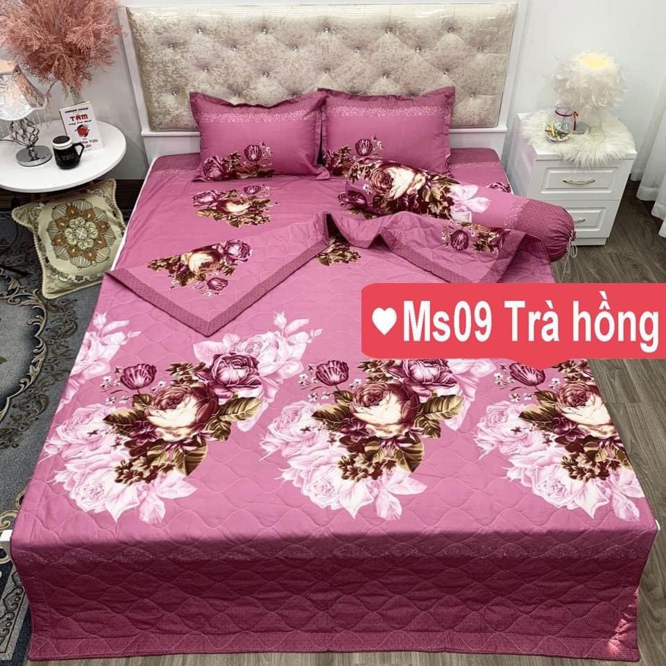 Bộ ga kèm đôi vỏ gối poly cotton siêu ngộ nghĩnh m6 hoặc m8 (được chọn mẫu)
