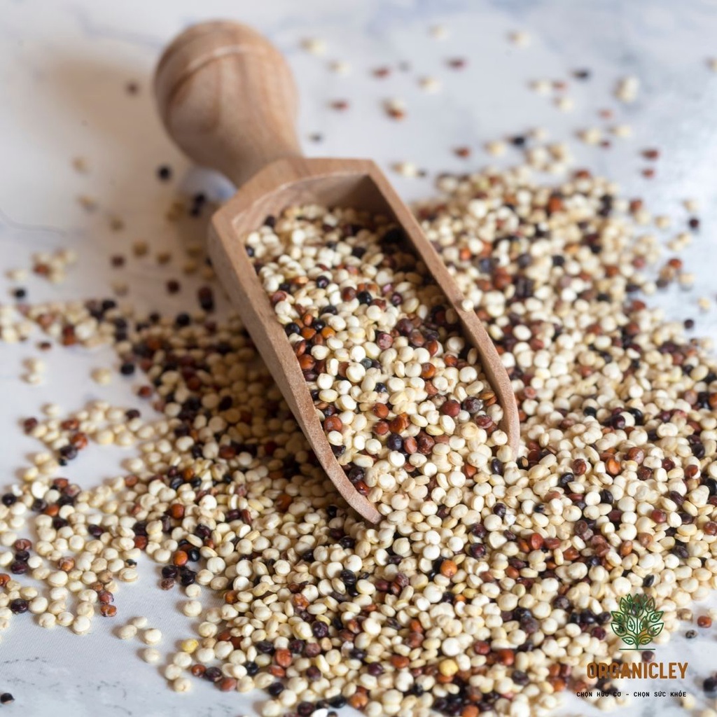 Hạt diêm mạch Quinoa hỗn hợp 3 màu hữu cơ chính hãng Sottolestelle - Hạt Hữu Cơ - Hạt Dinh Dưỡng - Organicley