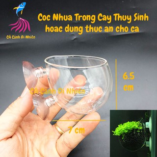 CỐC THỦY TINH có giác hút trồng cây thủy sinh trên thành kính hồ cá cốc trồng cây