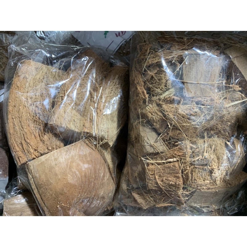 Sơ dừa miếng, giá thể trồng lan