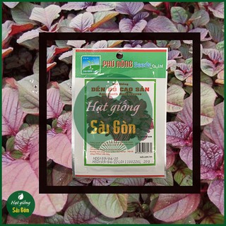 20GR - HẠT GIỐNG RAU DỀN ĐỎ