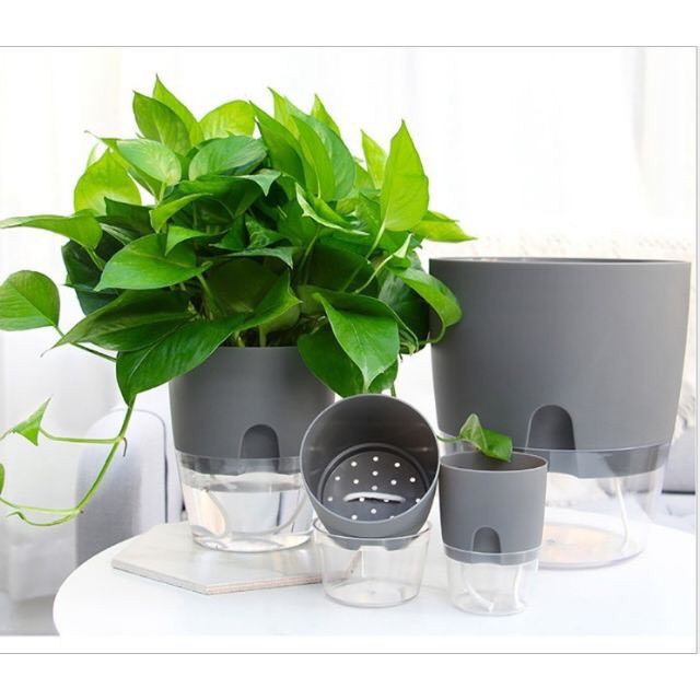 Chậu Trồng Cây Thông Minh nhập khẩu Oliz A7, Tự Tưới Nước Decor Văn Phòng