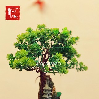 Cành cây cổ thụ trang trí cho thác nước phong thủy, thác khói trầm hương, hòn non bộ