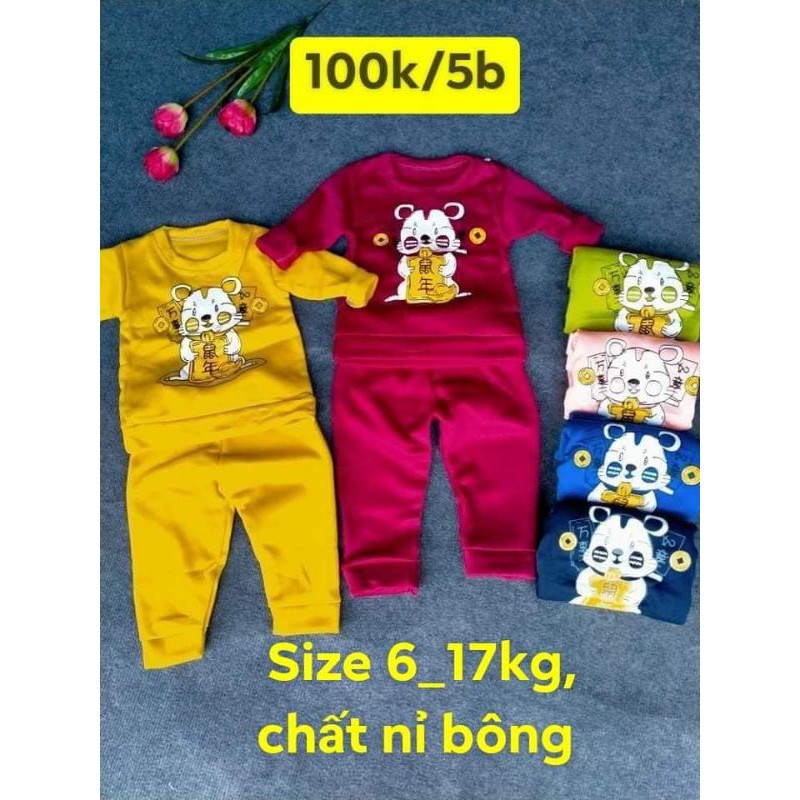 Bộ nỉ chuột thần tài