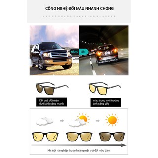 Kính Phân Cực Đổi Màu Trà IRMA 387T