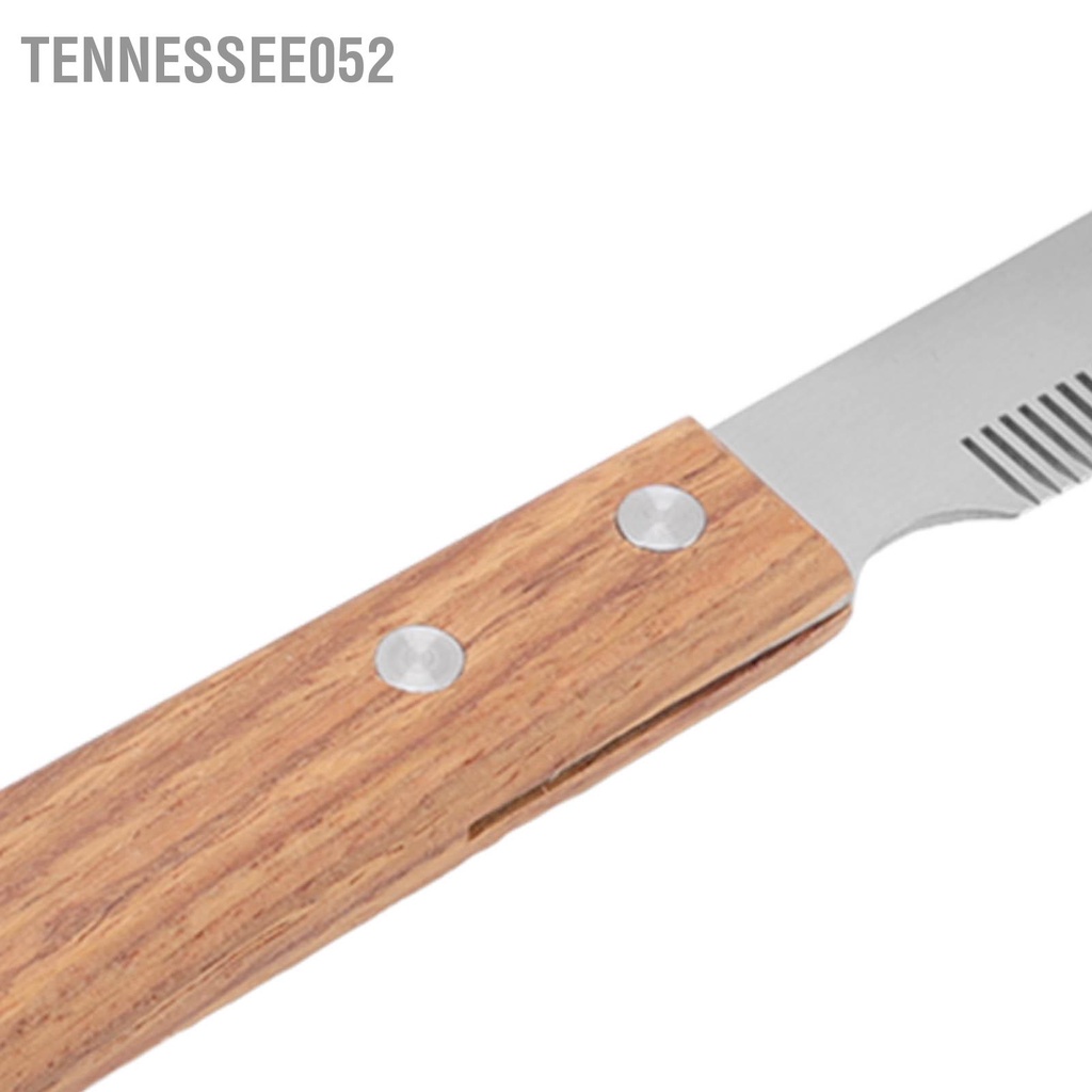 Tennessee052 Lược chải lông cho chó Loại bỏ nút thắt không đau An toàn mèo có tay cầm bằng gỗ để sử dụng phải