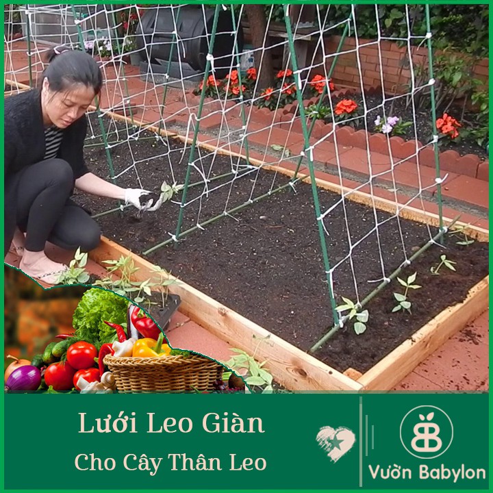 Lưới Làm Giàn Leo ( Lưới Leo Giàn ) Khổ 2 Mét (chiều dài cắt theo số lượng đặt hàng)