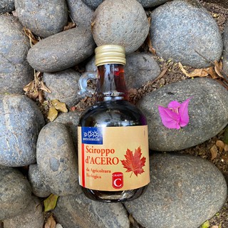 Siro Sottolestelle cây phong 250ml