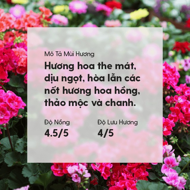 20 MÙI Tinh Dầu Thơm Phòng Ngủ Thiên Nhiên Organic Nguyên Chất Đậm Đặc HENY GARDEN