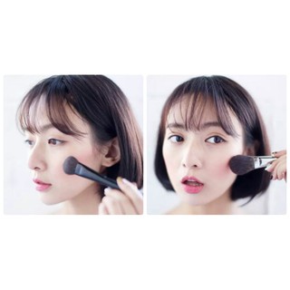 CỌ ĐÁNH PHẤN PHỦ VÀ MÁ HỒNG