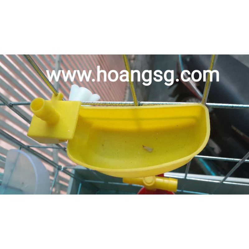 10 cái giá 70k máng uống nước tự động cho cút,chim