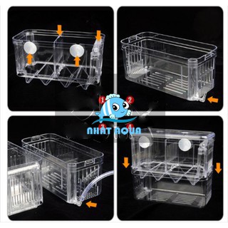 Lồng đẻ, dưỡng cá,tép MICA [Cá Cảnh]