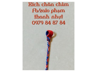 Combo xích chân chim