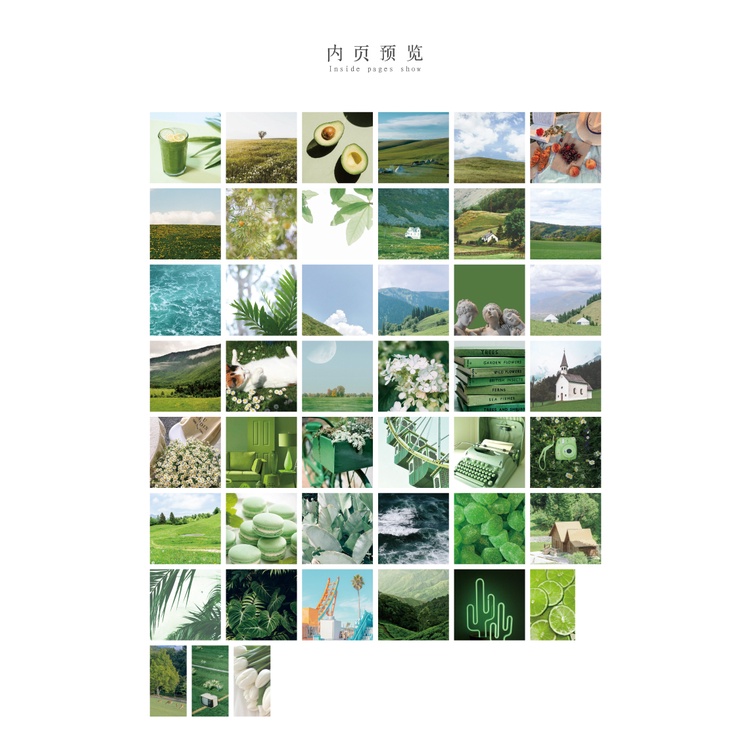 Set 46 Miếng Dán Hình Hoa Và Bướm Trang Trí Album Ảnh