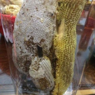 MẬT ONG RỪNG