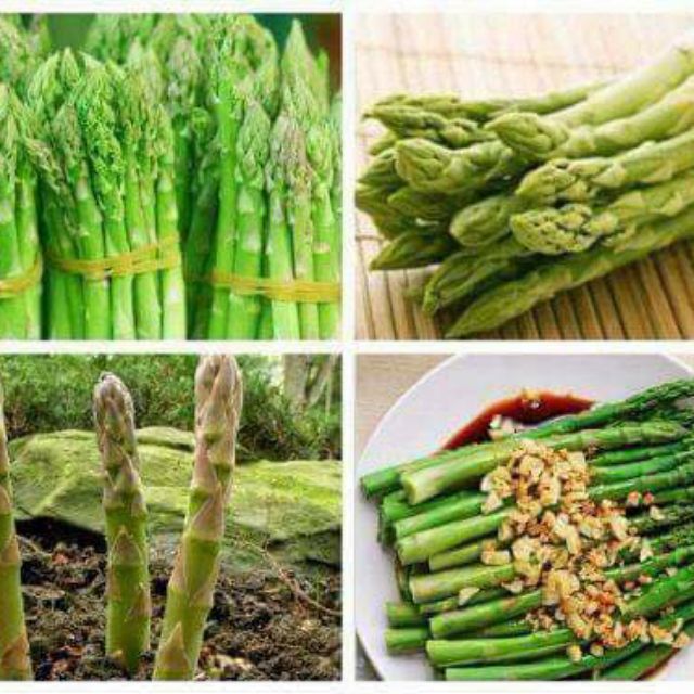 Com bo 10 gốc cây giống măng tây