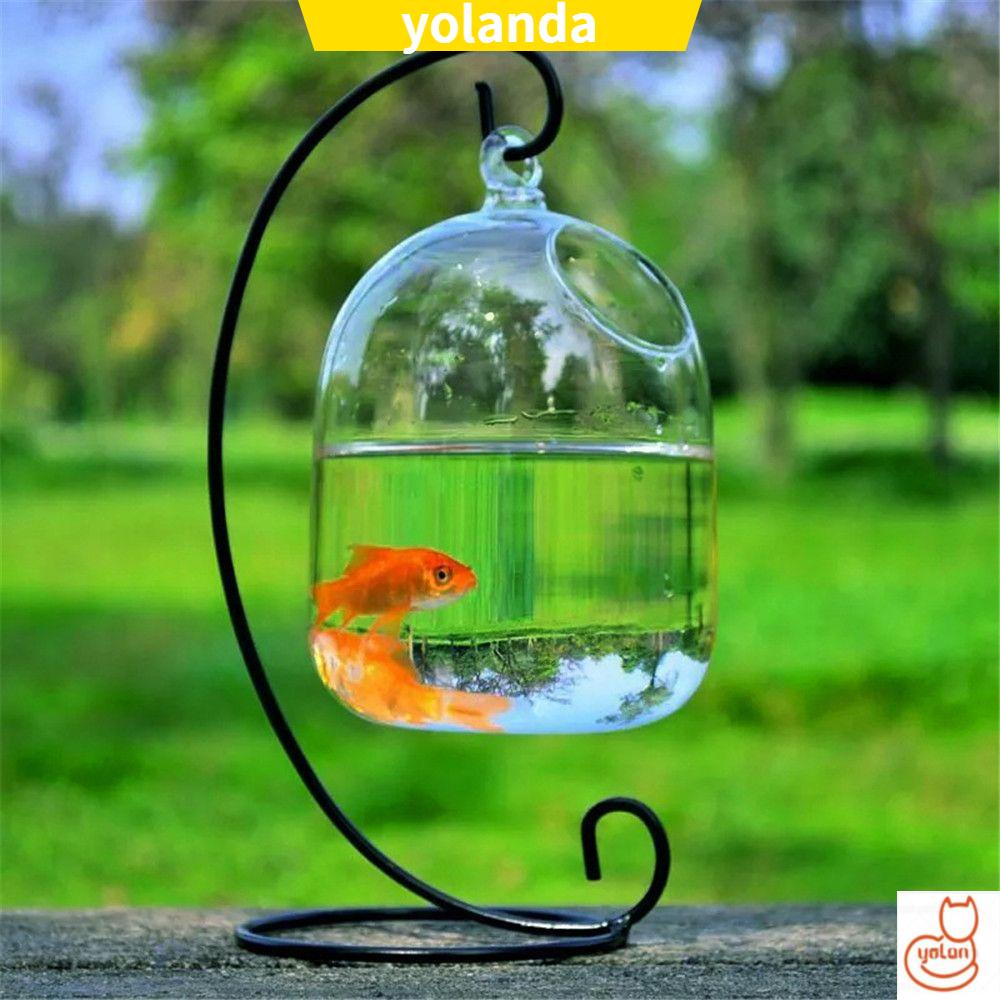 Bể cá thủy tinh trong suốt có giá đỡ mini nhiều màu trong suốt trang trí nội thất