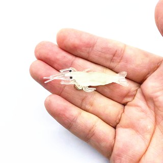 1 Mồi Tôm Giả Câu Cá Mềm 4cm / 1.4g Fishing Lure Soft shrimp